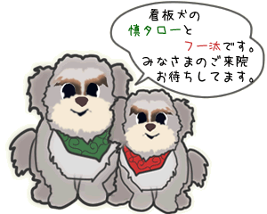 �Ŕ��̐T�^���[�t�[���ł��B